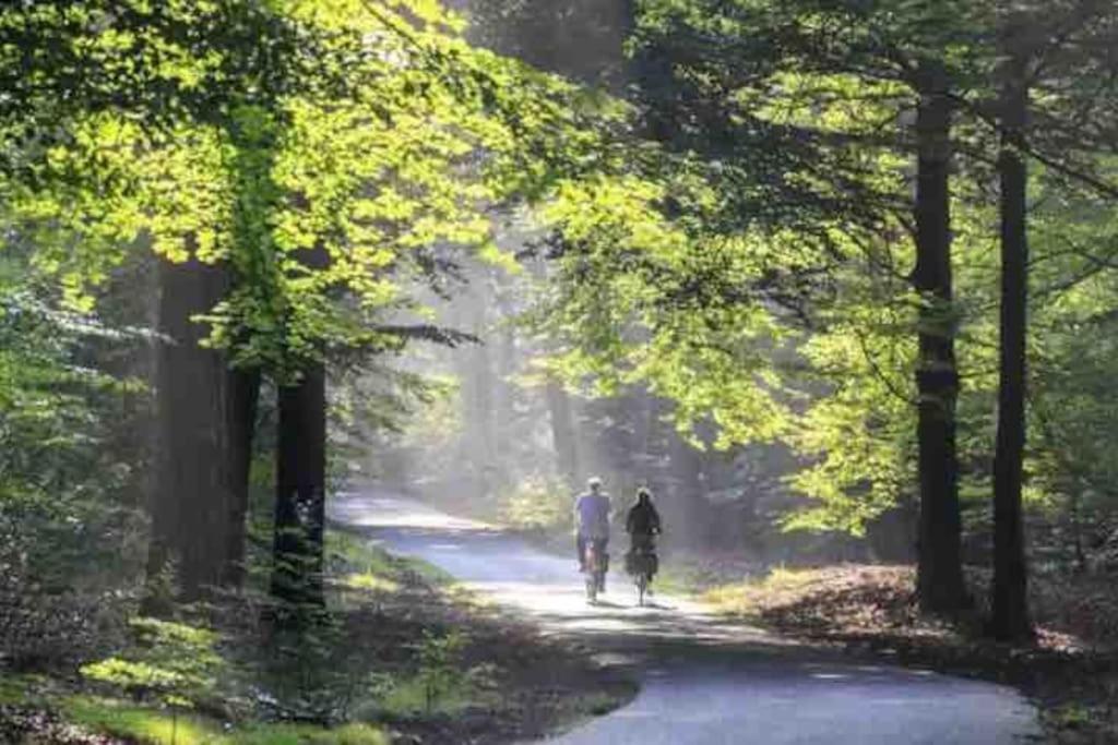הונדרלו Chalet Toetje Op De Veluwe מראה חיצוני תמונה