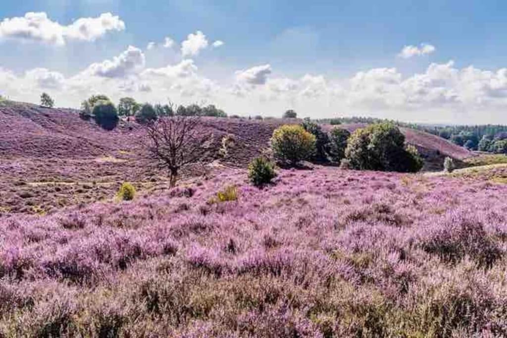 הונדרלו Chalet Toetje Op De Veluwe מראה חיצוני תמונה